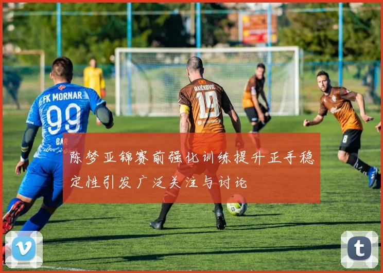 陈梦亚锦赛前强化训练提升正手稳定性引发广泛关注与讨论
