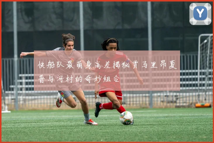 快船队最萌身高差揭秘贾马里昂夏普与河村的奇妙组合