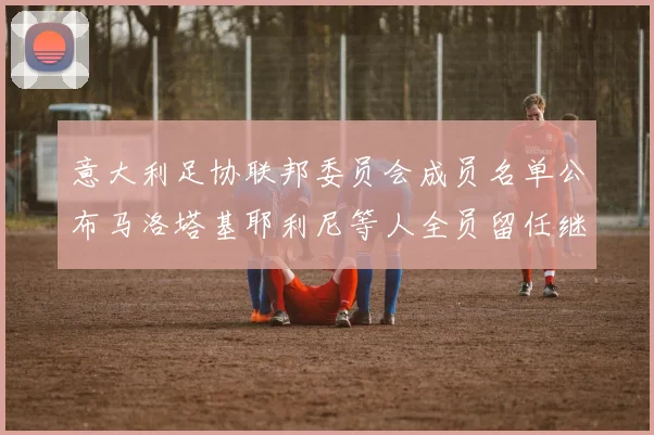 意大利足协联邦委员会成员名单公布马洛塔基耶利尼等人全员留任继续服务