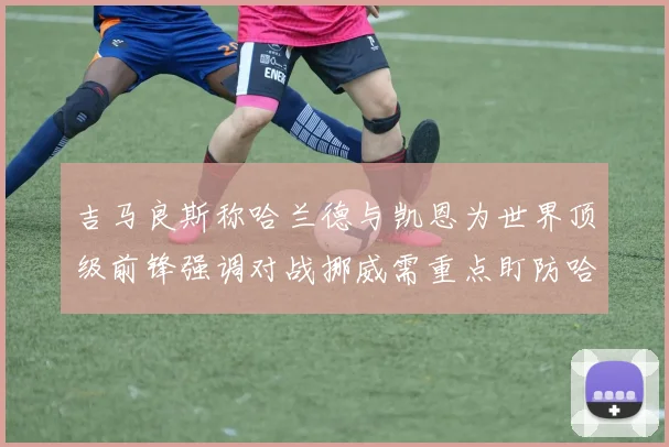 吉马良斯称哈兰德与凯恩为世界顶级前锋强调对战挪威需重点盯防哈兰德