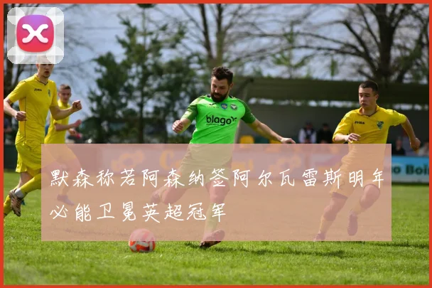 默森称若阿森纳签阿尔瓦雷斯明年必能卫冕英超冠军